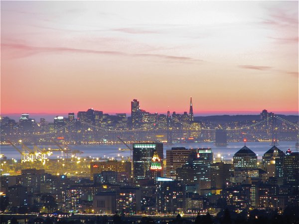 写真：オークランド市の夜景